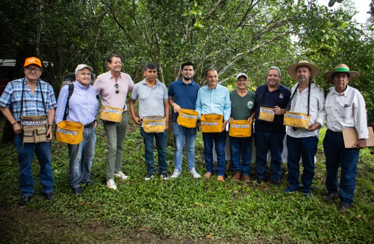 El Torno inaugura la cosecha del café cruceño