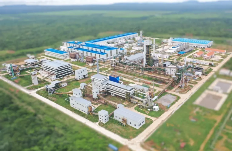 Sinosteel destaca avances del proyecto Mutún