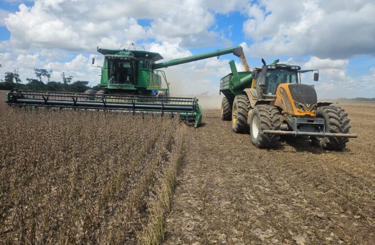 El agro puede ser la principal fuente de divisas que Bolivia necesita